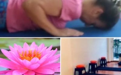 Todos podemos practicar Yoga-Prácticas inspiradas en la tradición  Trumalai Krishnamacharya